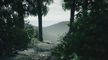 UE4 scenic forest view - 1 hour speed level design