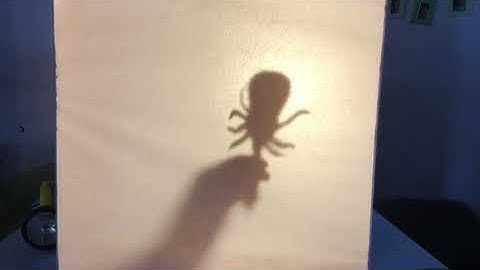 Shadow Puppet Show