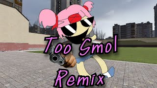 Monika.EXE Vs DDTO: Smol Beans - Too Smol Remix @QuieT729