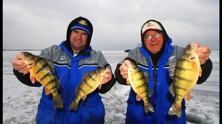 Run and Gun Jumbo Perch