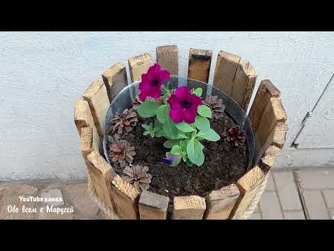 СДЕЛАЛА ЦВЕТОЧНОЕ КАШПО ИЗ ПЛАСТИКОВОЙ БУТЫЛКИ