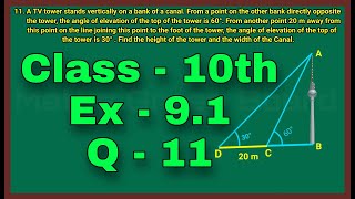 Ex 9.1 q 11 Class 10th || Class 10th ex 9.1 q 11 || Class 10th exercise 9.1 question 11 chapter 9 screenshot 1