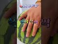 #격하게 #수박파뤼 #수박사랑 #웃음터지는영상 #꽃단비danbee #도선화pastor찬양방송 #샘이넘치는교회 #다이어트 #밤톨이네