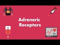 Adrenergic & Dopamine Receptor Physiology - MEDZCOOL