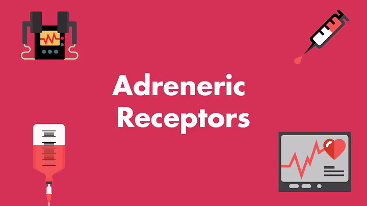 Adrenergic & Dopamine Receptor Physiology - MEDZCOOL
