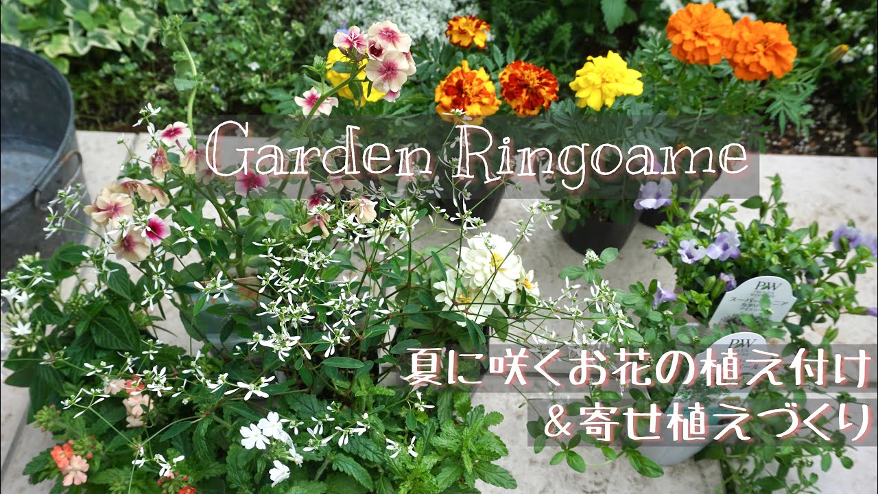 ガーデニング 夏に咲くお花の植え付けと寄せ植えづくり 寄せ植え Youtube