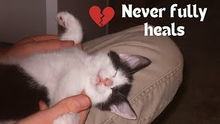 Pet loss and dealing with Devastating Grief by catatainment 176 views 2 months ago 4 minutes, 30 seconds