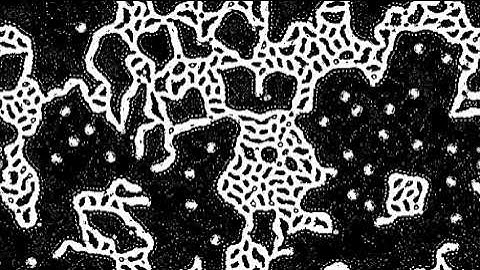 Multiple Neighborhood Cellular Automata Experiment #2