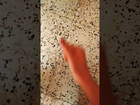 ياراجل لا لا لا لا لا ابلور الجزائر المراه