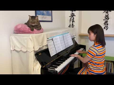 夢ノカケラ・・・        ZONE        ピアノ　　　〜猫と一緒〜