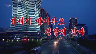 Pochonbo Electronic Ensemble - Don't go, Pyongyang night | North Korea, 2020 (english subtitles)