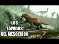 🐀 La estrategia de los mamíferos: invisibles entre gigantes 🦖