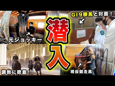 【衝撃】日本一の競馬牧場に特別に入れて貰ったら、驚きの光景が….！！