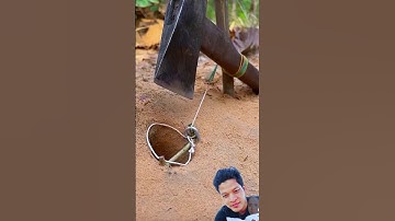 Đặt bẫy rắn bằng cái búa to đùng cả nhà ơi