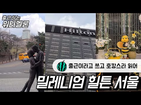 [출근ing]이것은 출근인가 호캉스인가|밀레니엄 힐튼 서울|일상 브이로그|출근 브이로그|