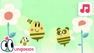 BABY BOT Knows BEES 🐝 🍯 Cartoons for Kids | Lingokids | S1.E9