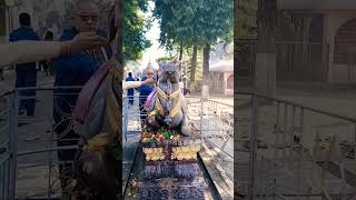 Babam Bam  Paradox Hustle 2 0bam Lehri shorts