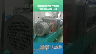 Textured Soya Protein Production Line