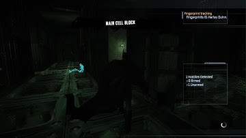 Batman: Return to Arkham - Arkham Asylum glitch