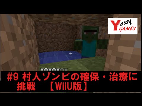 9 村人ゾンビの確保 治療に挑戦 Wiiu版マインクラフト Youtube