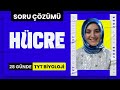 Hücre Soru Çözümü | TYT Biyoloji Soru Çözümü | 2. Ünite