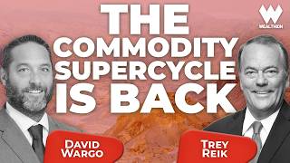 The Commodity Supercycle Is Back: Gold, Silver, Rare Earths | David Wargo Profile