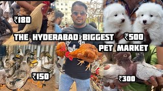 The Hyderabad biggest 😲pet market Erragadda 😎🤪pets rabbit puppies, Persian cat spl MNAVLOGS