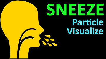 Sneeze vapor and particle Visualization through CFD