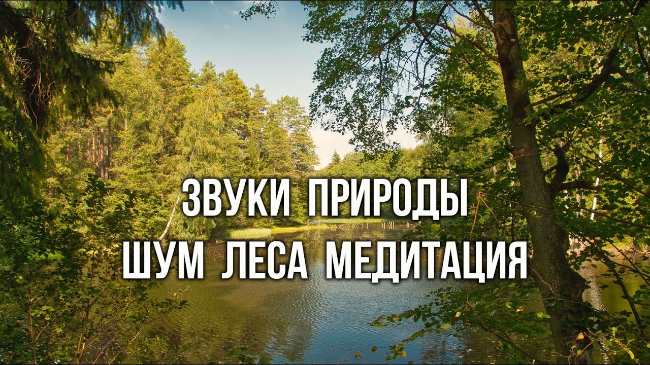 Звук медитации для сна. Звуки природы исцеляют. Звуки природы для медитации. Релакс звуки птиц природы медитация. Природные звуки для медитации.