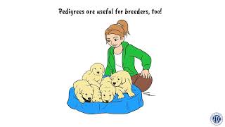 All About AKC Pedigrees—Your Dog’s Family Tree by American Kennel Club 455 views 2 months ago 1 minute, 37 seconds