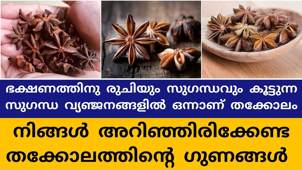 അറിയാം തക്കോലത്തിന്റെ ആരോഗ്യഗുണങ്ങൾ Health Benefits of Star Anise in