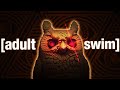 Whats up with adult swim and owls