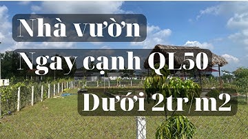 Nhà vườn Cần Giuộc Long An - Ngay cạnh QL50 vào 200m - Xây nhà vườn thì cực kì đẹp - Giá rẻ nhất LA