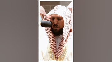 تلاوة مرئية سورة التكاثر الشيخ ماهر المعيقلي