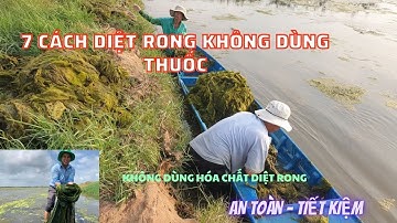 CHIA SẼ KINH NGHIỆM CÁCH DIỆT RONG " KHÔNG DÙNG THUỐC - HÓA CHẤT"  AN TOÀN - HIỆU QUẢ  VÀ TIẾT KIỆM