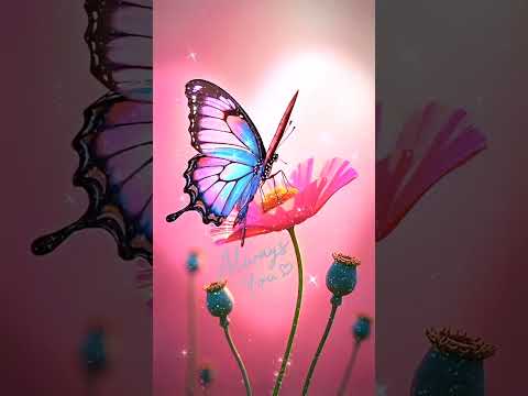 Inside My Soul ✨️💝Tu es la lumière dans mon âme 💫💛La musique 🎶 que vous fait danser🕺💃