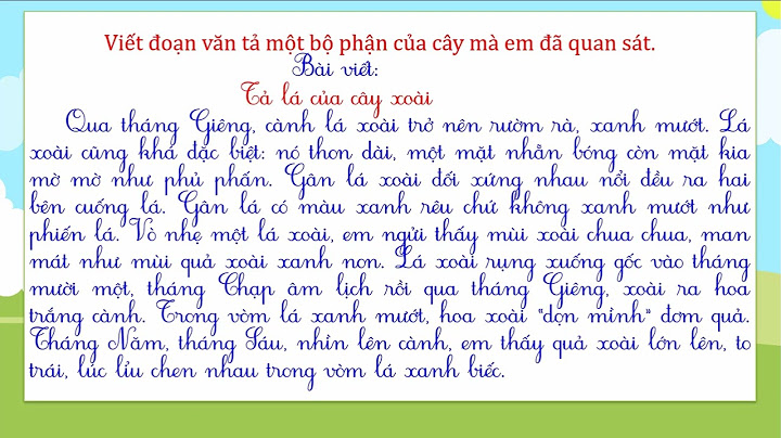 Viết một đoạn văn tả lá cây xoài năm 2024