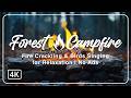 🔥 Forest Campfire | Fire Crackling & Birds Singing for Relaxation | No Ads