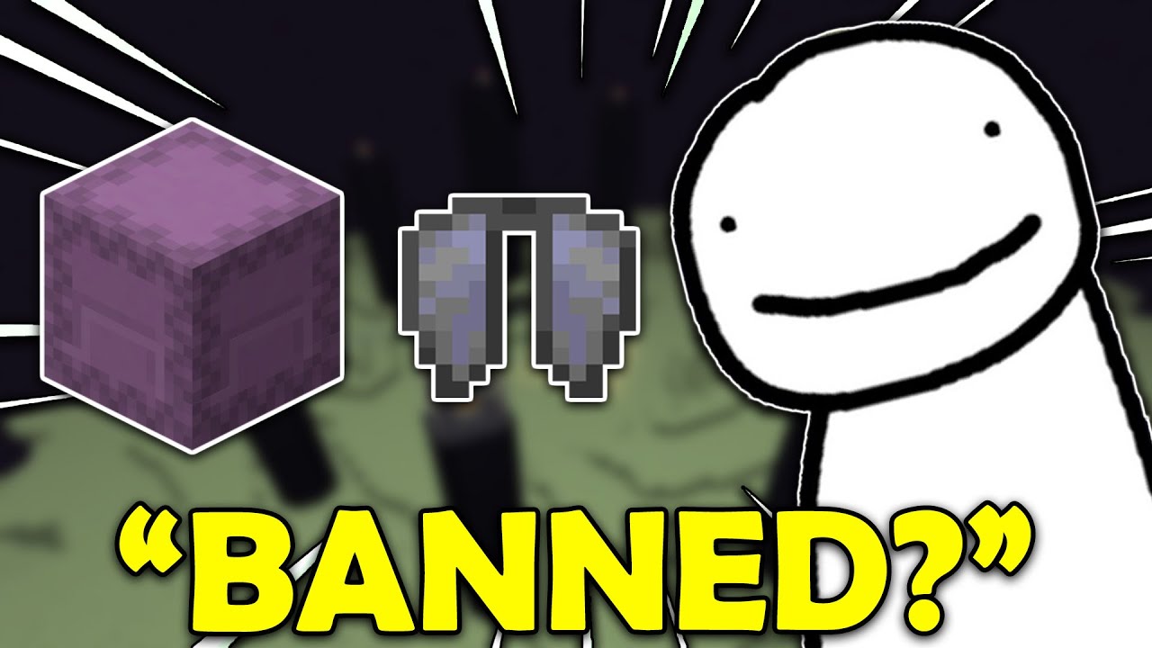 Why Dream DECIDED To BAN The END On The Dream SMP!