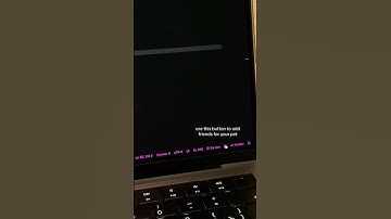 Add pets inside vs code #coding #htmlcss #csstips #vscode #vscodetricks #css #ide #vscodeextension