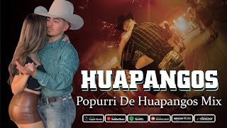 Mix de Huapangos 2024 ~ Popurri De Huapangos Chingones Mix ~ Para Bailar Zapateado