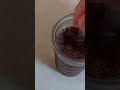 الشاي بحليب المصري 