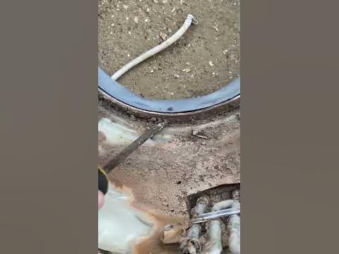 Неприятный запах в стиральной машинке, и почему же? - YouTube