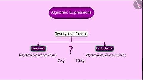Algebraic expressions | Part 2/3 | English | Class 8