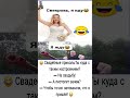 😂 Свадебные приколы #юмор #шуточное #ржач #прикол #funny #мемас #анекдоты #ржака #мем #смешновидео