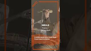 MEULE - Rock, France - Bandoftheday