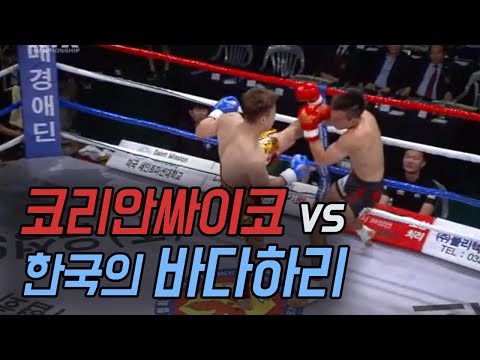 코리안싸이코를 KO시킨 한국의 <strong>바다하리</strong> ㄷㄷ
