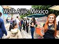 AJIJIC MEXICO 2018 WALK - LAKE CHAPALA 🇲🇽