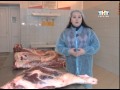 Ветеринарные врачи показали журналистам, какой контроль проходит мясо