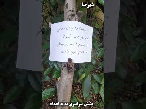 جنبش سراسری نه به اعدام؛ کاشان - شهرضا - گلپایگان